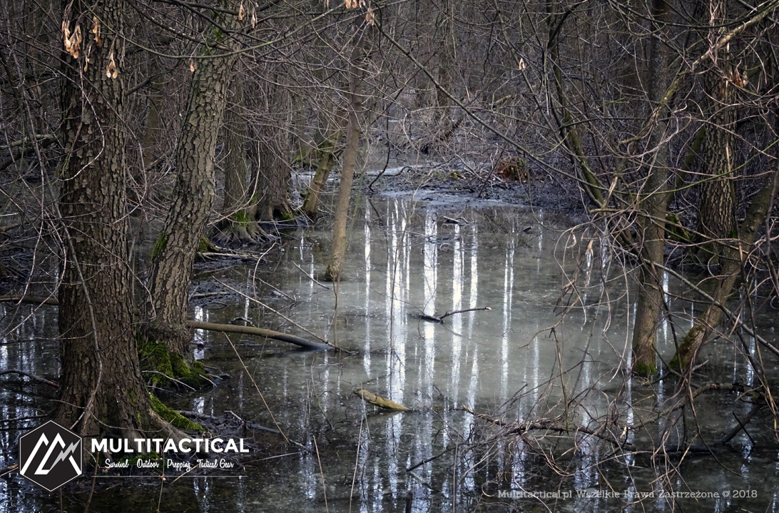 Multitactical.pl - Survival Outdoor Prepping Tactical Gear - Rezerwat Łosiowe Błota - Podwarszawskie mokradła