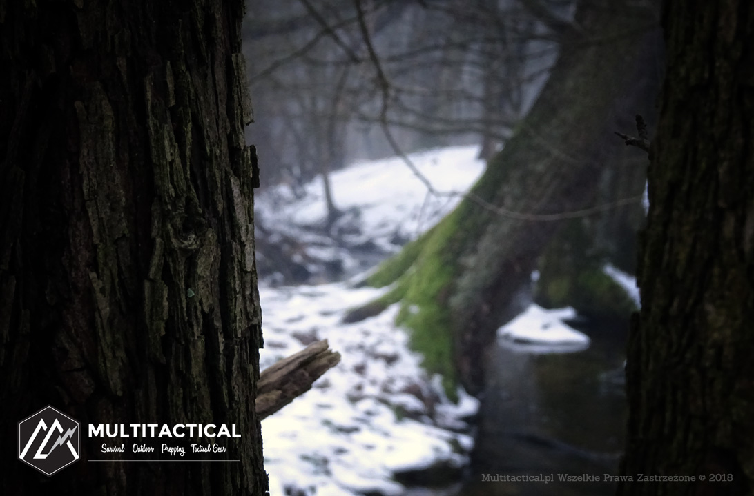Multitactical.pl - Survival Outdoor Prepping Tactical Gear - Nessmuk - Woodcraft - Sztuka leśnego obozowania - Recenzja
